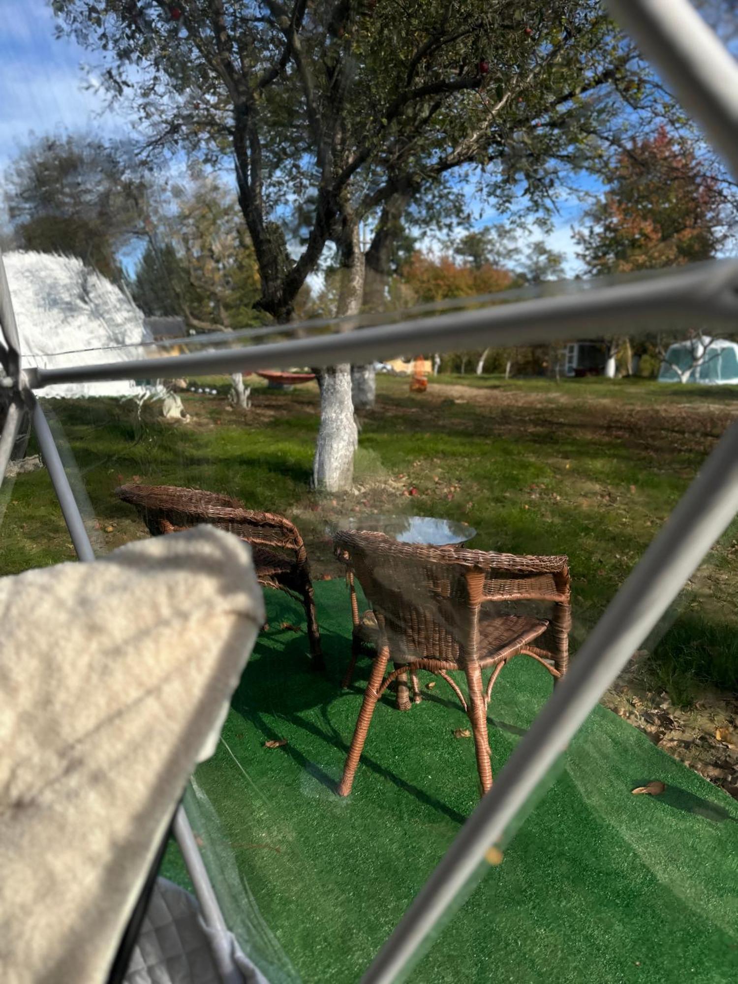 The Frog Glamping Hotel Horezu Exterior photo