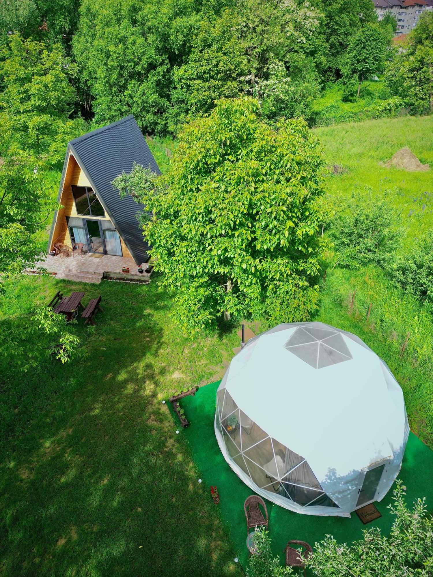 The Frog Glamping Hotel Horezu Exterior photo