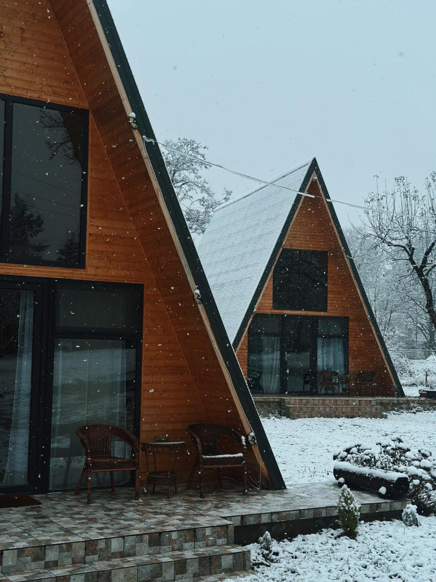The Frog Glamping Hotel Horezu Exterior photo