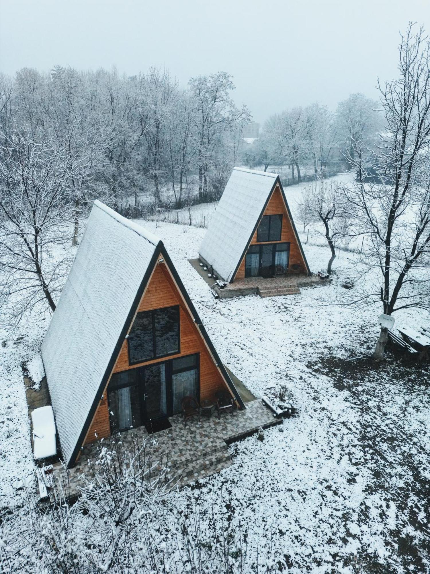 The Frog Glamping Hotel Horezu Exterior photo