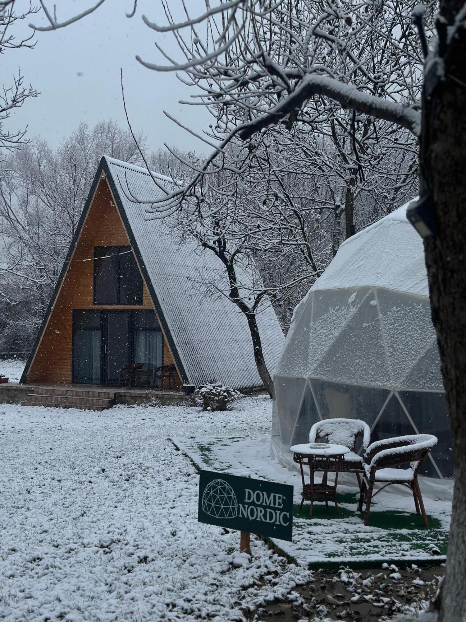 The Frog Glamping Hotel Horezu Exterior photo