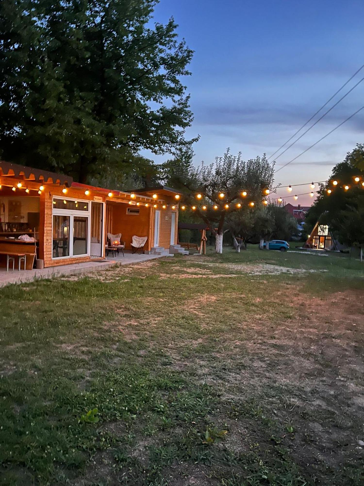The Frog Glamping Hotel Horezu Exterior photo